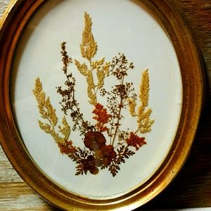 Antique vintage pressed flowers framed.